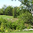 #3 Ladies Tee